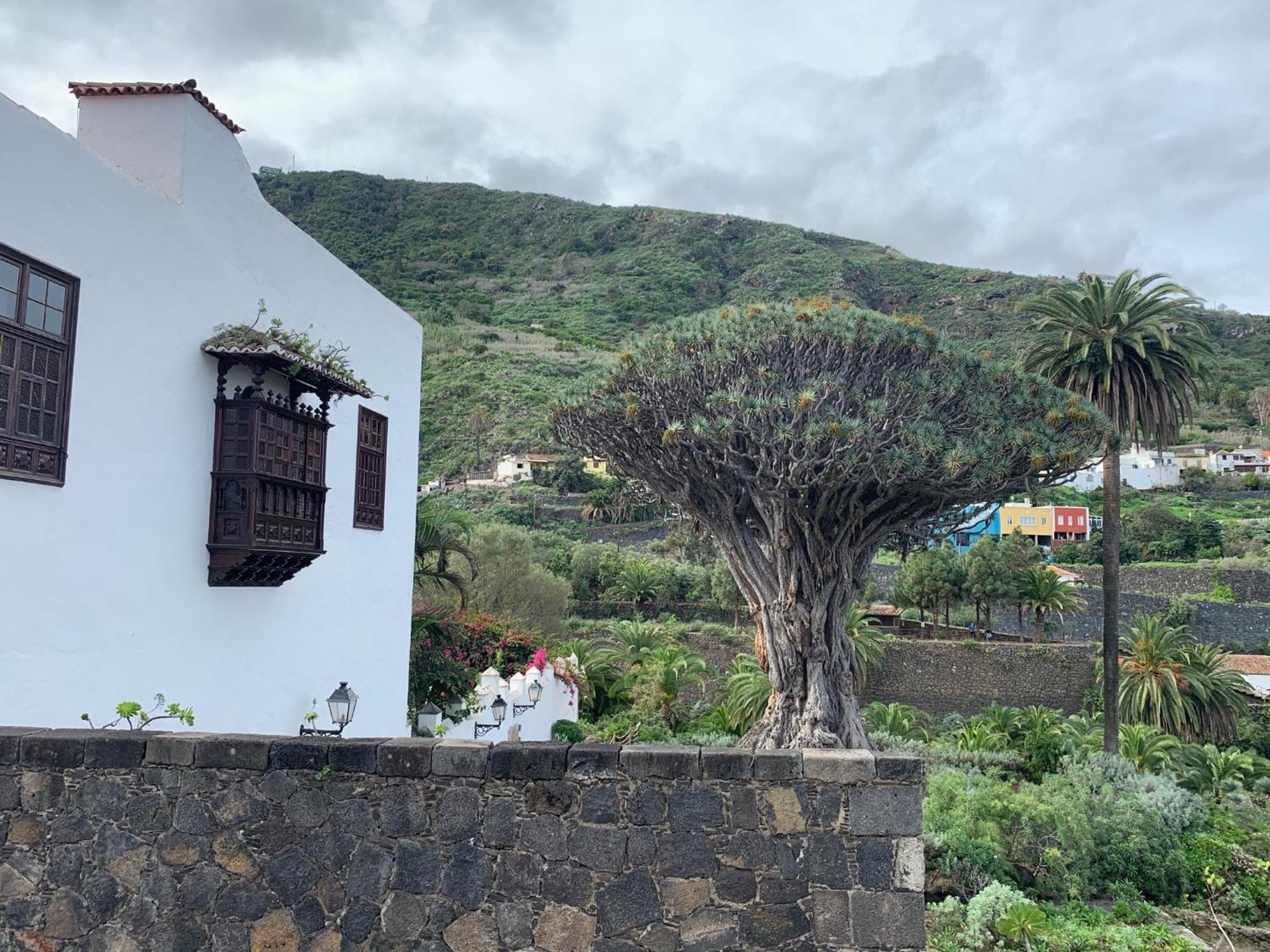 Вилла Casa La Baja Гарачико Экстерьер фото